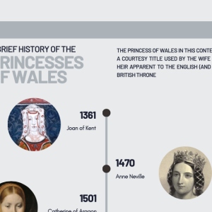 A small screenshot of the beginning of an infographic. It shows the infographic's title - A brief history of the Princesses of Wales - and a snippet of the timeline.